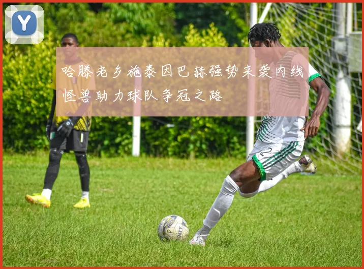 哈滕老乡施泰因巴赫强势来袭内线怪兽助力球队争冠之路