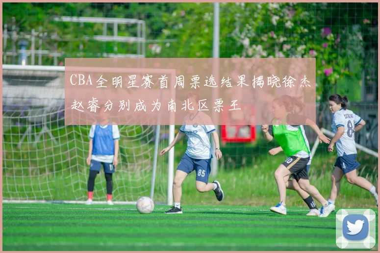 CBA全明星赛首周票选结果揭晓徐杰赵睿分别成为南北区票王